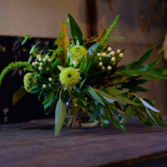 初めましてのブログ