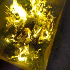 東大阪の地元でどんど焼き✨