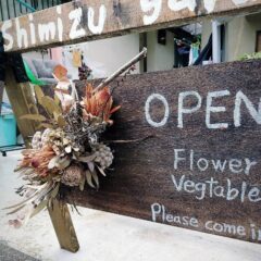 流木を使ったドライフラワーインテリア