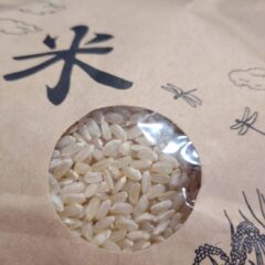 カレーが大好きです！