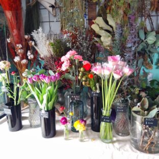 今週のシミズガーデン(１月４週目)