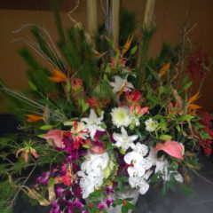 農業経営の勉強もしてます！