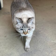 農園のあるお花屋さん