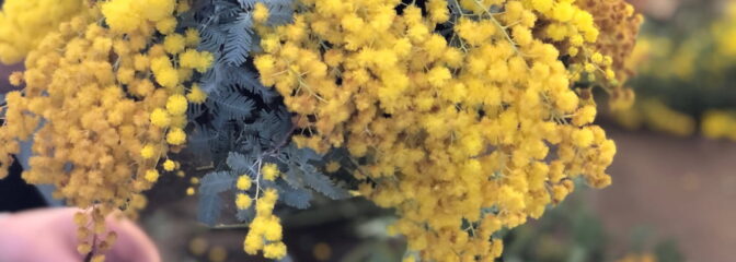 季節のお花に触れる 癒しの時間
