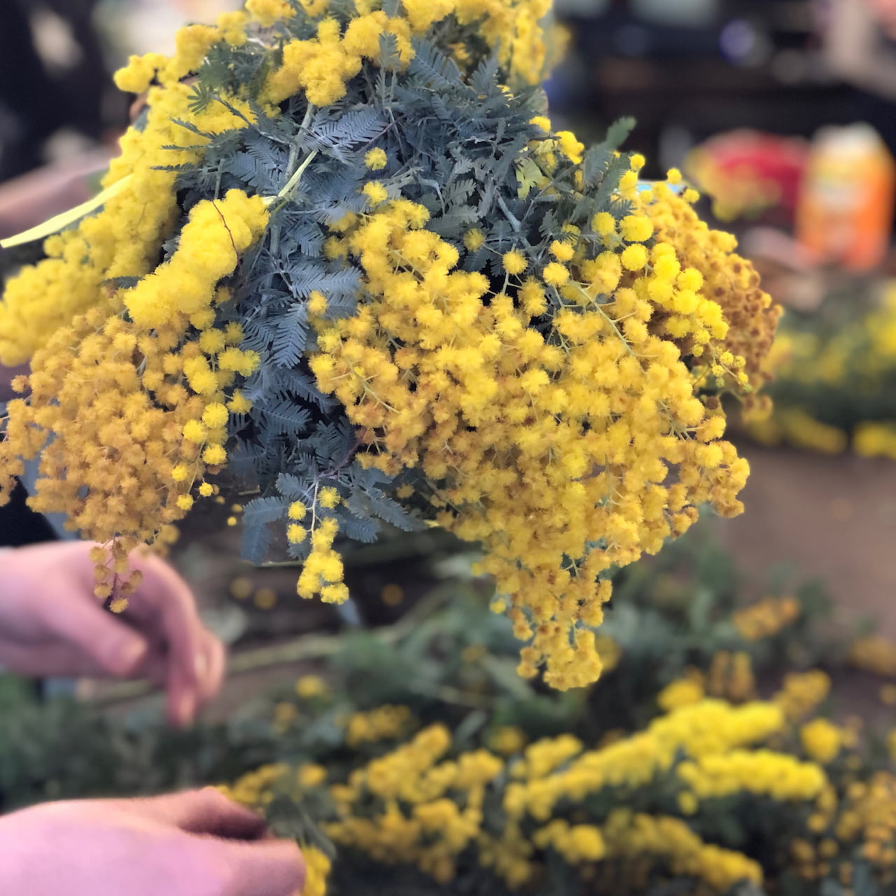 季節のお花に触れる 癒しの時間