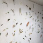 ドライリーフを吊るしたお部屋の壁