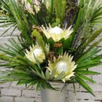 シミズガーデンの2021年7月のギフトアレンジメント2200円2-1