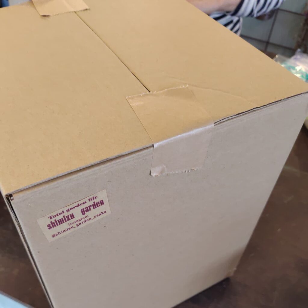 シミズガーデンのお花の定期便ブーケの作り方8