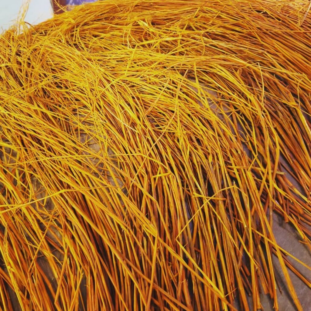 シミズガーデンの2022年フレッシュしめ縄3