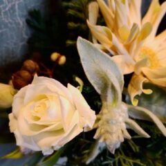 シミズガーデン 12月のお花の定期便