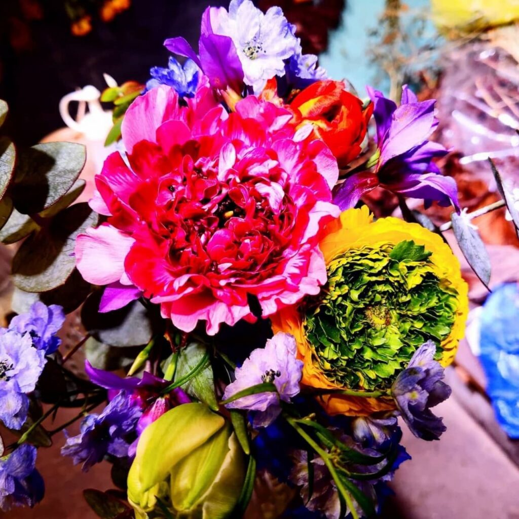 シミズガーデン2022年1月お花の定期便1