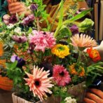 シミズガーデン2022年1月レッスン3