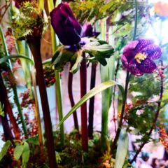 個展開催のお祝いアレンジメント