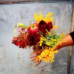 2月のお花の定期便