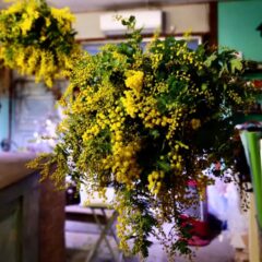 2月のshimizu gardenコースレッスン♪