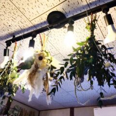 インテリアとしてのドライフラワー