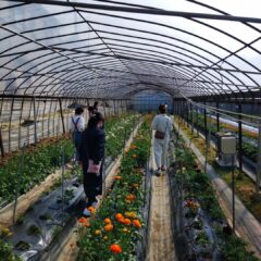 3月のシミズガーデンレッスン