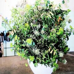 開店お祝いのアレンジメント