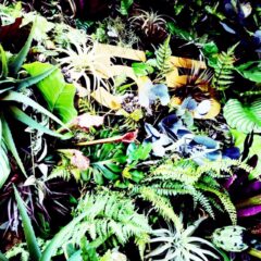 アーティフィシャルフラワーで壁面緑化