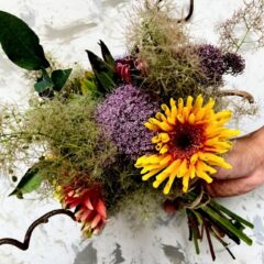 6月のお花の定期便💐