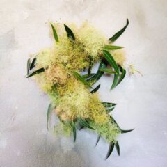 6月のフラワーレッスン