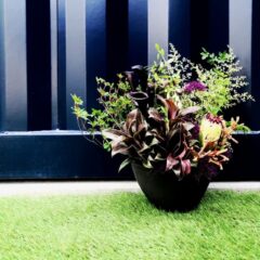 シックで爽やか　初夏のアレンジメント