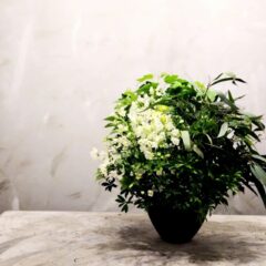ぎゅっとつまったお花のアレンジメント