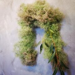 6月のフラワーレッスン