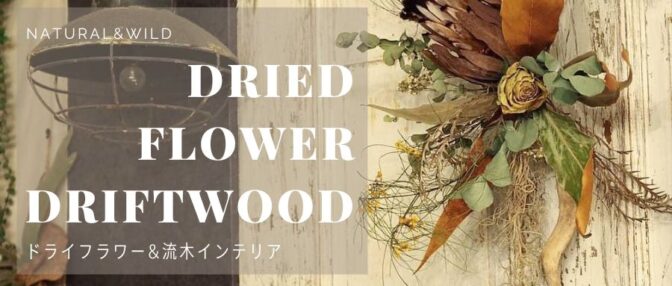 ドライフラワー&流木