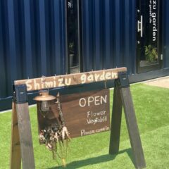 8月のシミズガーデンのお花たち