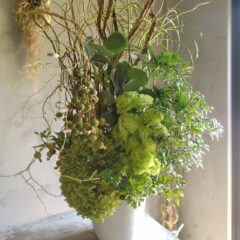 ヘアサロンの開店お祝いアレンジメント