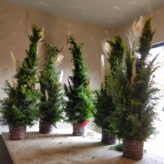 11月のシミズガーデンレッスン＜total garden コース＞