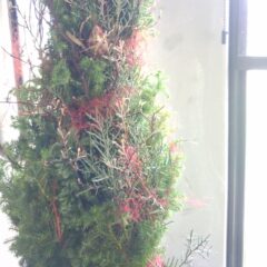 11月のフラワーレッスン