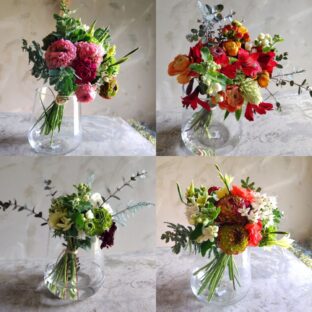 毎月第4土曜日16:00～ shimizu garden lesson【total gardenコース 】