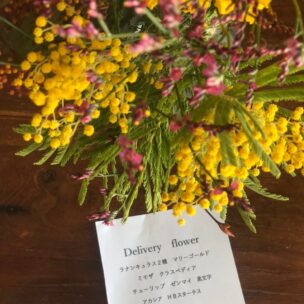 2023年のお花の定期便フォトギャラリー