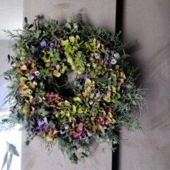 フレッシュドライリース