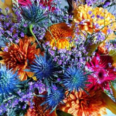 自家栽培のおしゃれなマム