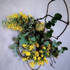 ミモザのハーフリース