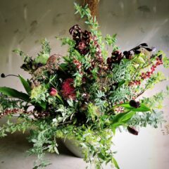 自家栽培のラナンキュラス