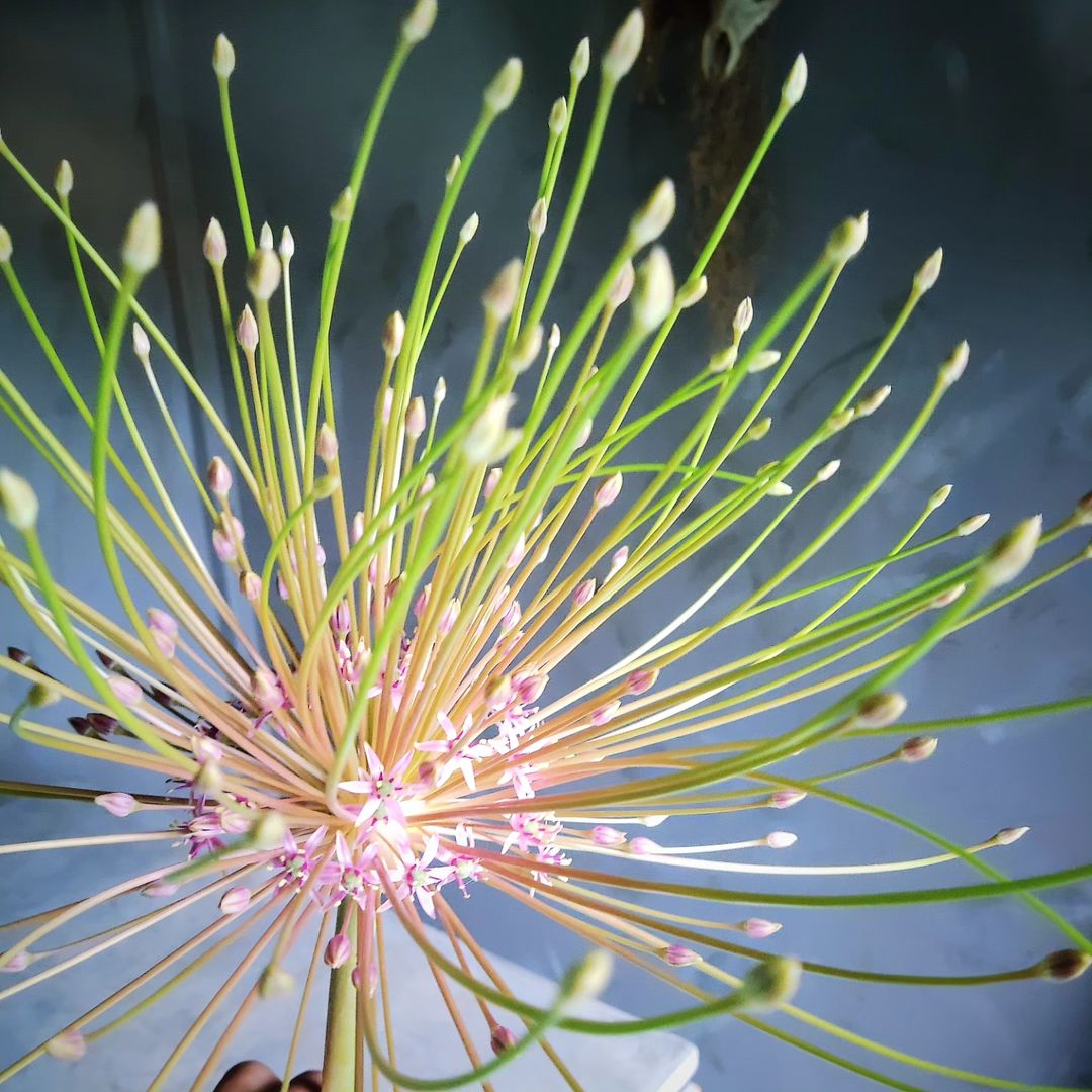 プライバシーポリシー