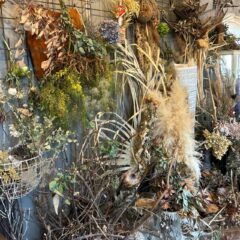 フレッシュドライスワッグ