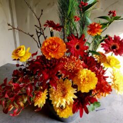 シミズガーデンの迎春花2025