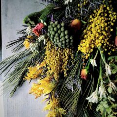 イタリア産ミモザのフレッシュスワッグ