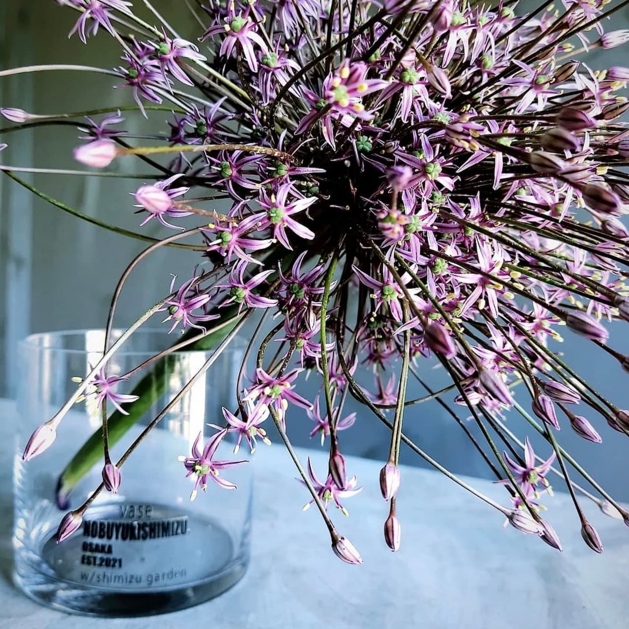 お花 東大阪・八尾からお花をお届け｜shimizu garden（シミズガーデン）