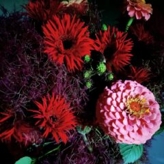 自家農園栽培のお花たち