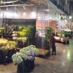 花業界は朝が早い！