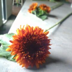 花活けのパフォーマンスをしました