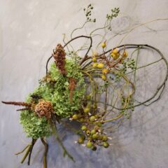 レッスンコース「shimizu garden」のこと