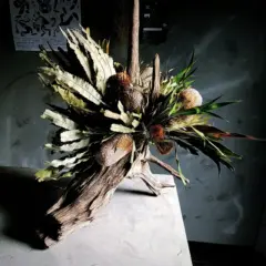 大きな流木オブジェ