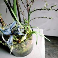 original glass botanical vase